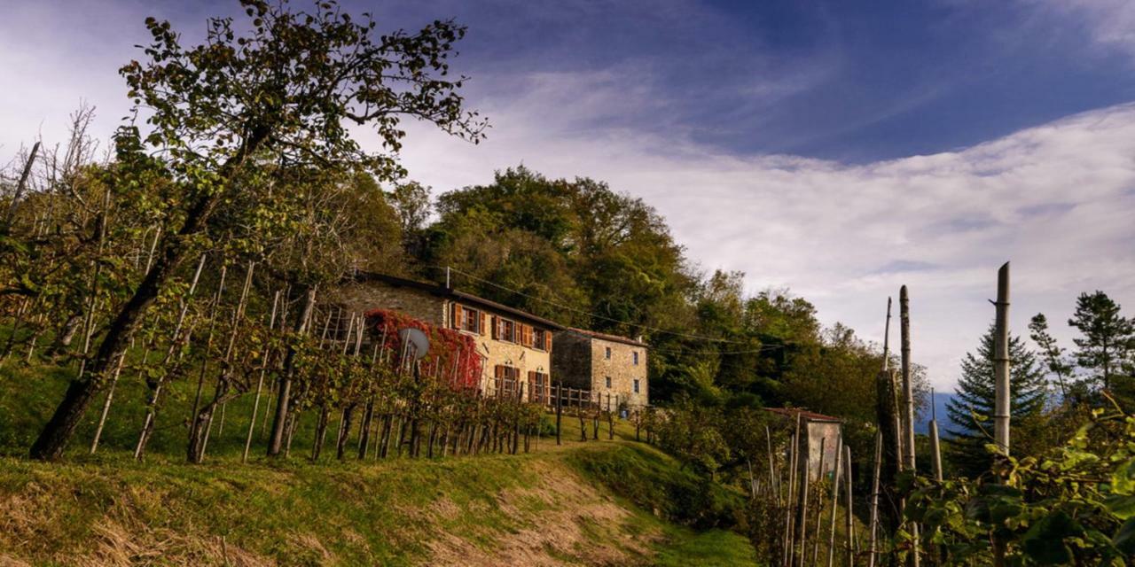 Vila Casa Del'Orto Bigliolo Exteriér fotografie
